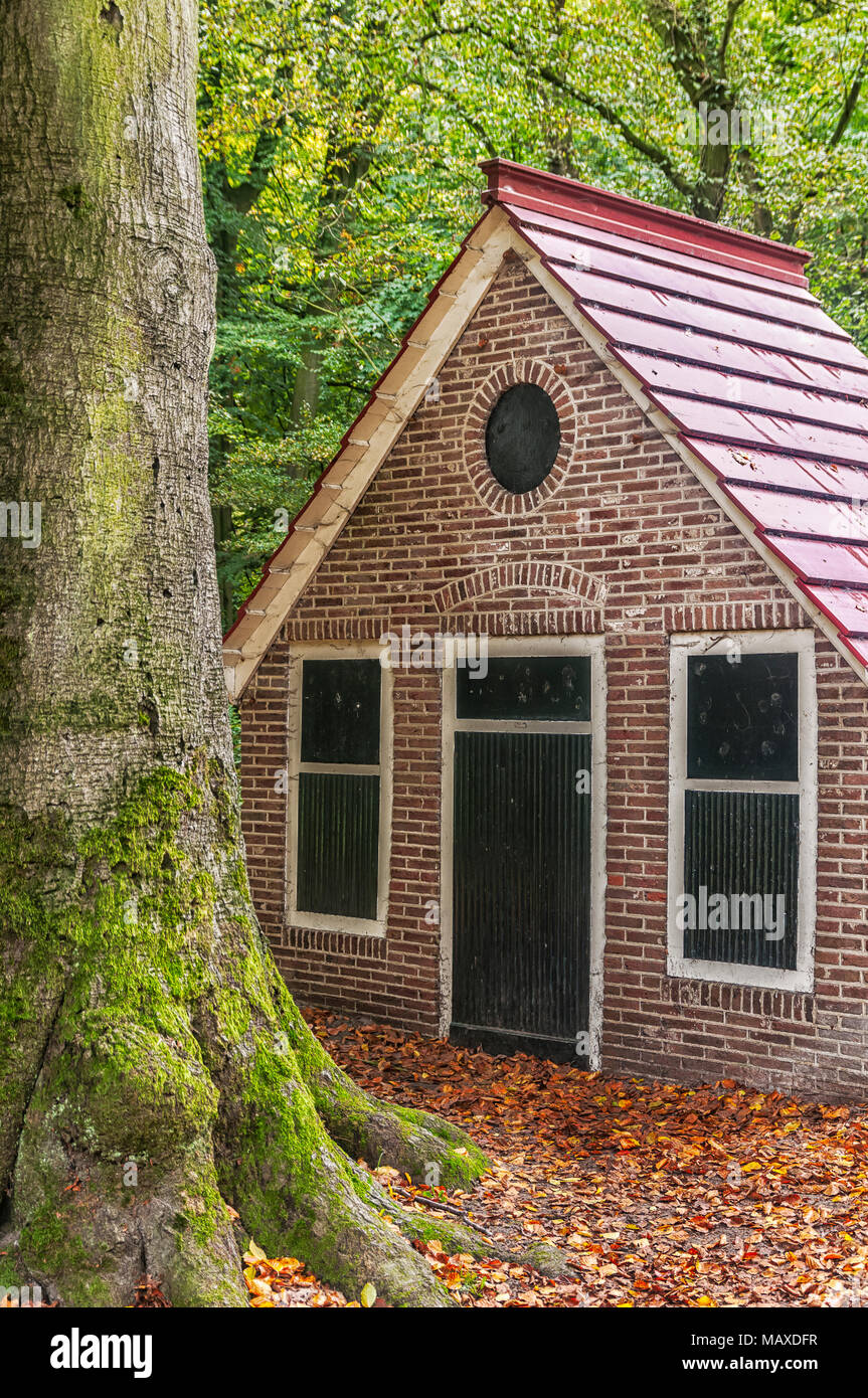 Una piccola casa con un rosso tetto spiovente vicino ad un albero nella foresta Foto Stock