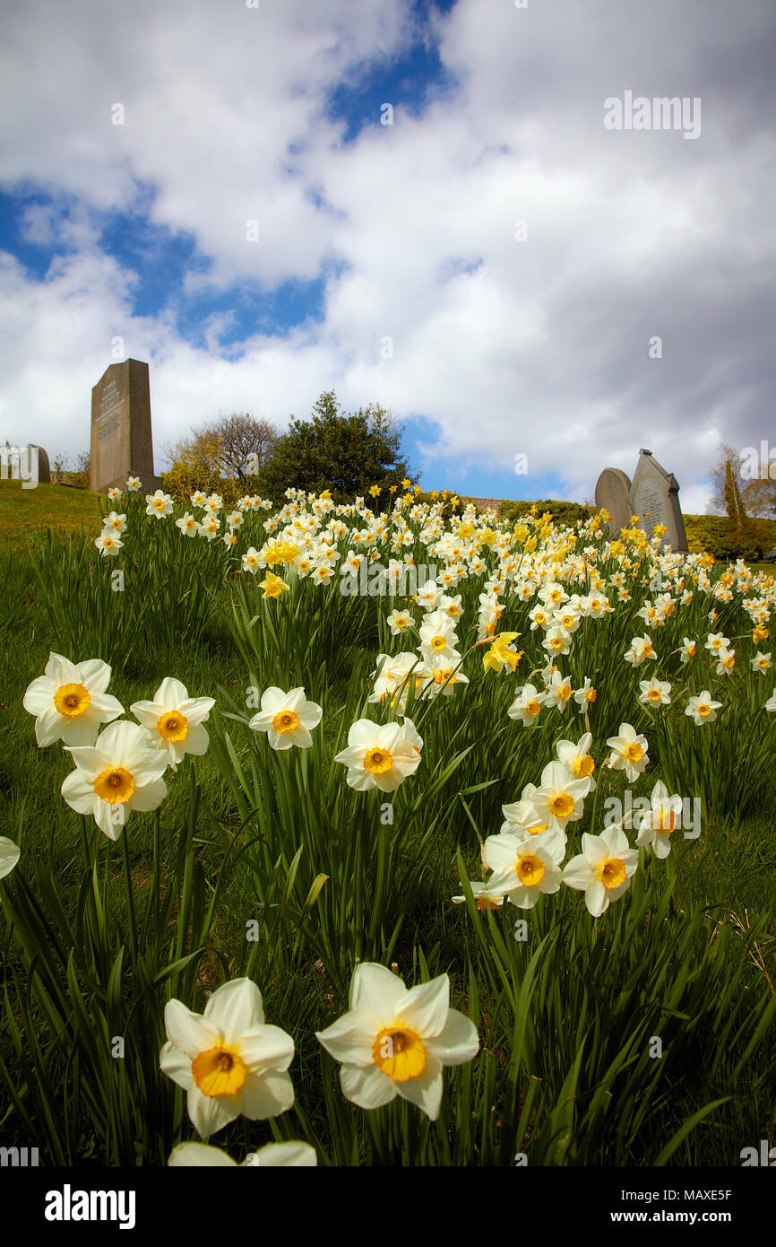 Glasgow Green, necropoli & Il Barras Foto Stock