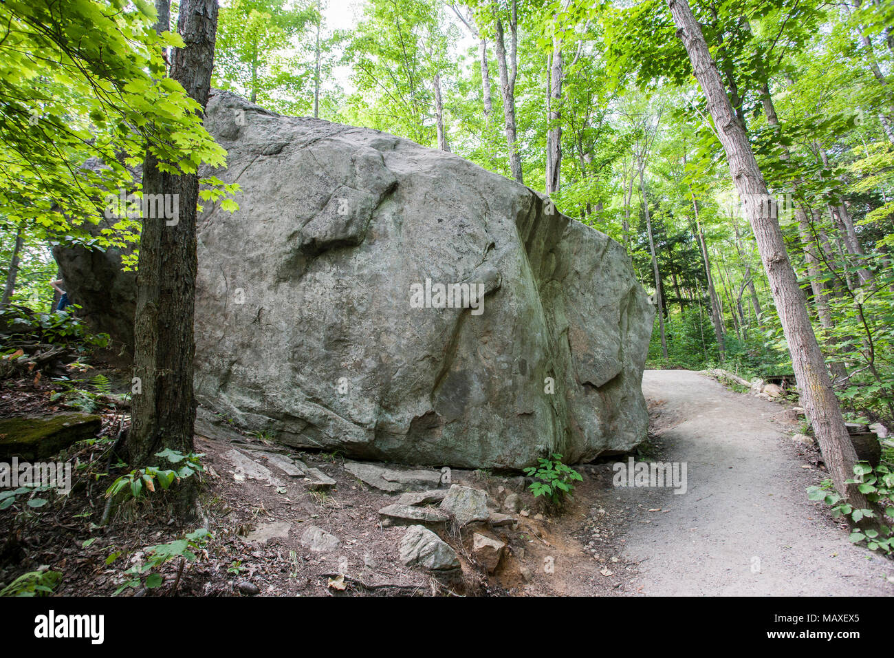 Canada Ontario, Algonquin Provincial Park, Lookout Trail, grande masso a sinistra da ice-age Foto Stock