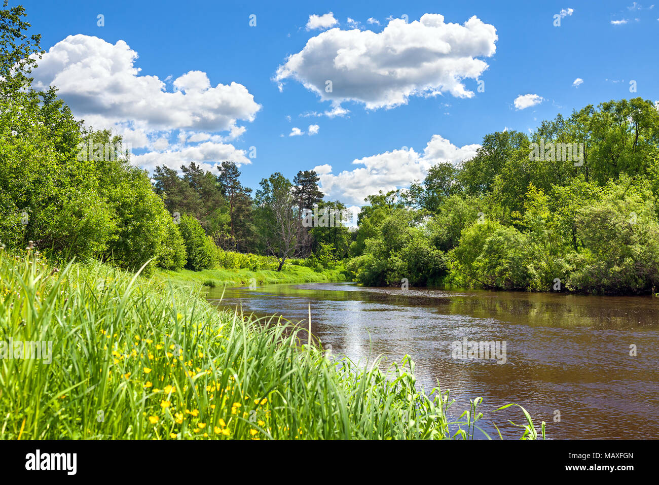 Bella estate rurale paesaggio con la foresta, fiume, cielo blu e nuvole bianche. primavera paesaggio con lago, vista panoramica. Foto Stock