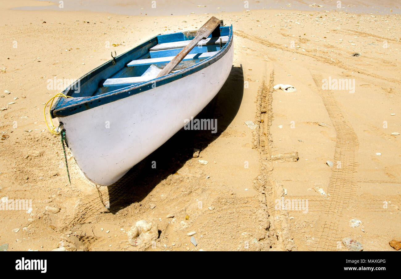 Di piccole dimensioni e di colore bianco riga barca su una spiaggia vicino al bordo dell'acqua. Foto Stock
