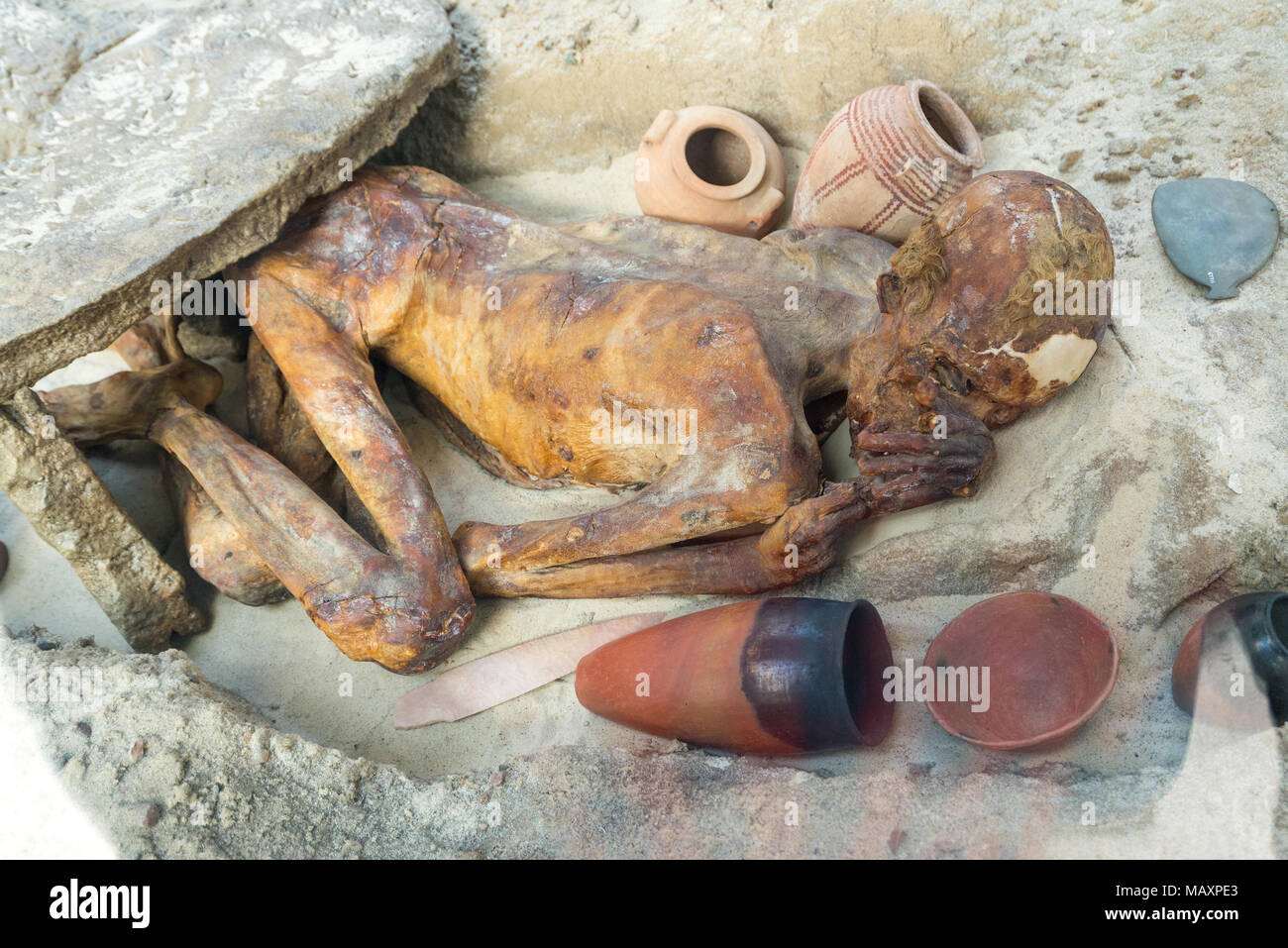 Gebelein uomo, una mummia naturale dal periodo Predynastic sepolto intorno 3500 BC, il British Museum di Londra, Regno Unito Foto Stock