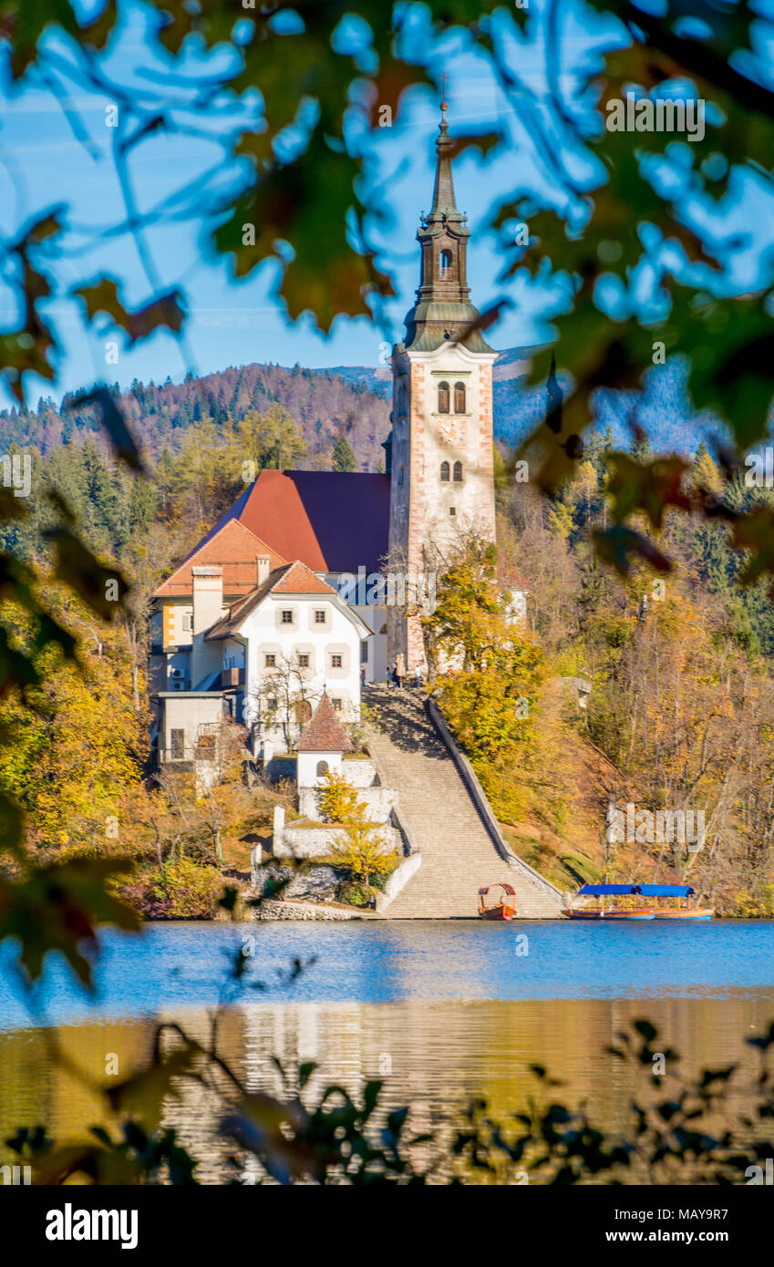 Isola con una chiesa a Bled Slovenia Foto Stock