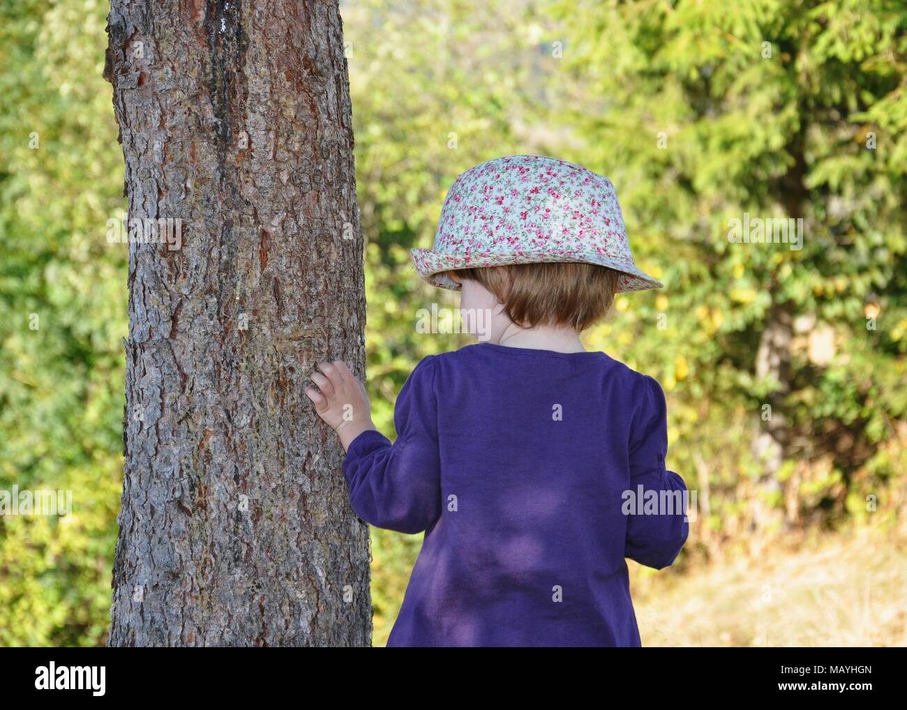 Lato posteriore ritratto di un capretto, bimba bionda con hat, toccando un albero nella foresta Foto Stock