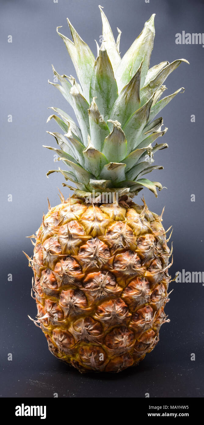 Foto di un ananas frutta Foto Stock