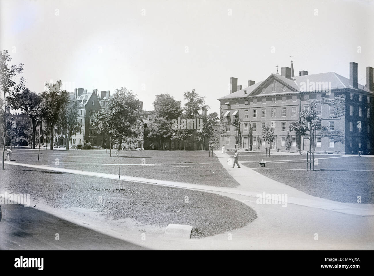 Antique c1910 fotografia, Harvard Yard con edifici Matthews Hall (l), Massachusetts Hall (c) e Hollis Hall (r) di Cambridge, Massachusetts. Fonte: originale negativo di vetro Foto Stock