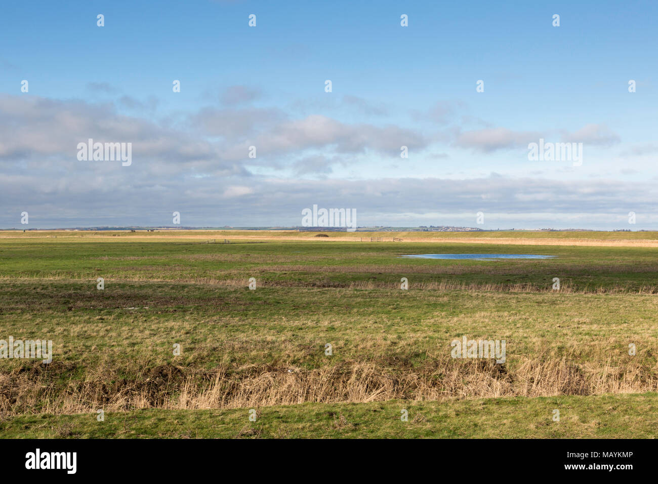 Vicino a Seasalter e Graveney sulla costa della contea del Kent settentrionale, il potenziale sito di Cleve Solar Farm. Foto Stock