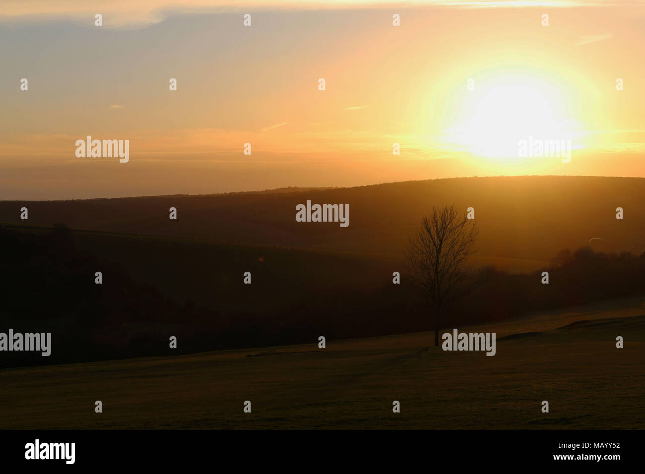 South Downs Way - cielo blu Foto Stock