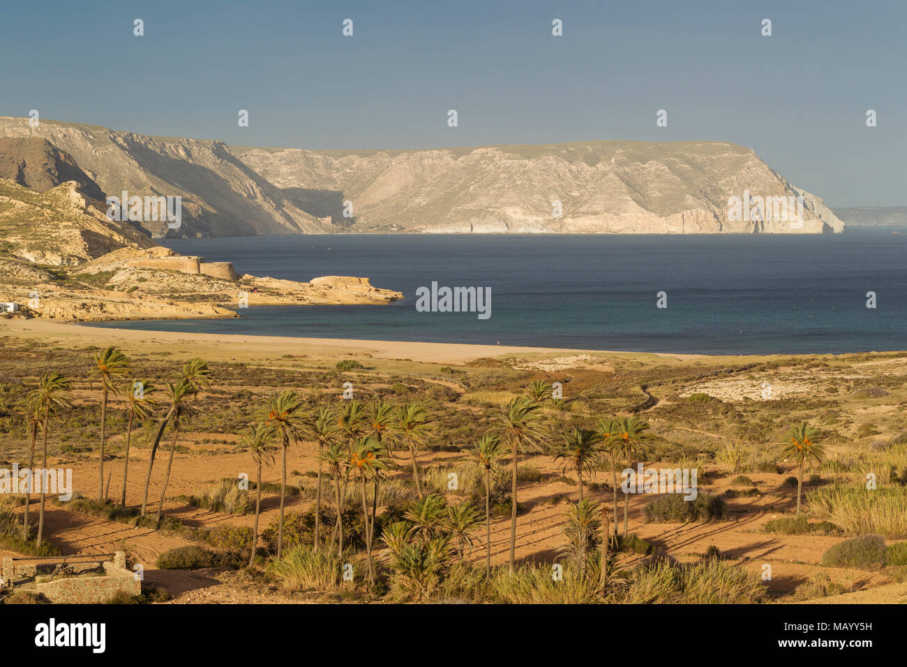 Playazo beach con alberi di palma e San Ramon castello sulla sinistra, Riserva Naturale di Cabo de Gata-Nijar, provincia di Almeria Foto Stock