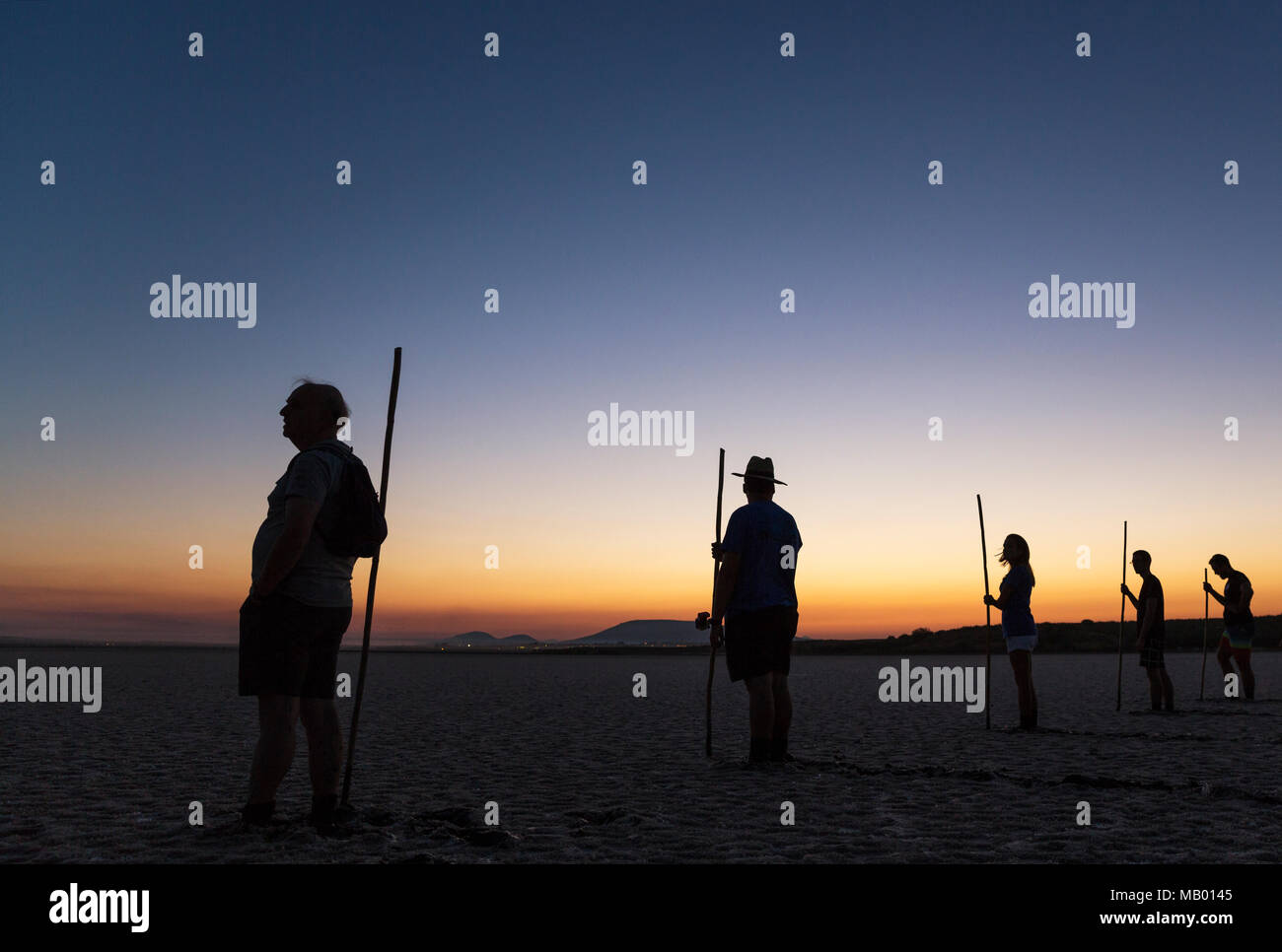 Volontari all'alba presso la Laguna de Fuente de Piedra, attesa per l'inizio dell'immaturo fenicottero maggiore (Phoenicopterus Foto Stock