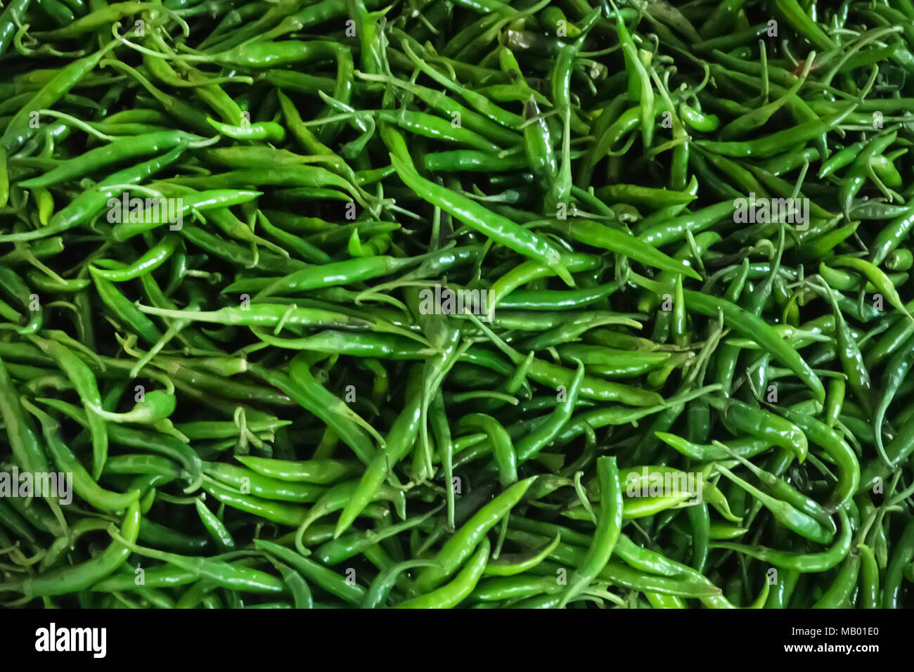 Verdi maturi peperoncino. Peperoni Verdi. Il pepe verde pattern. Il pepe verde dello sfondo. Foto Stock