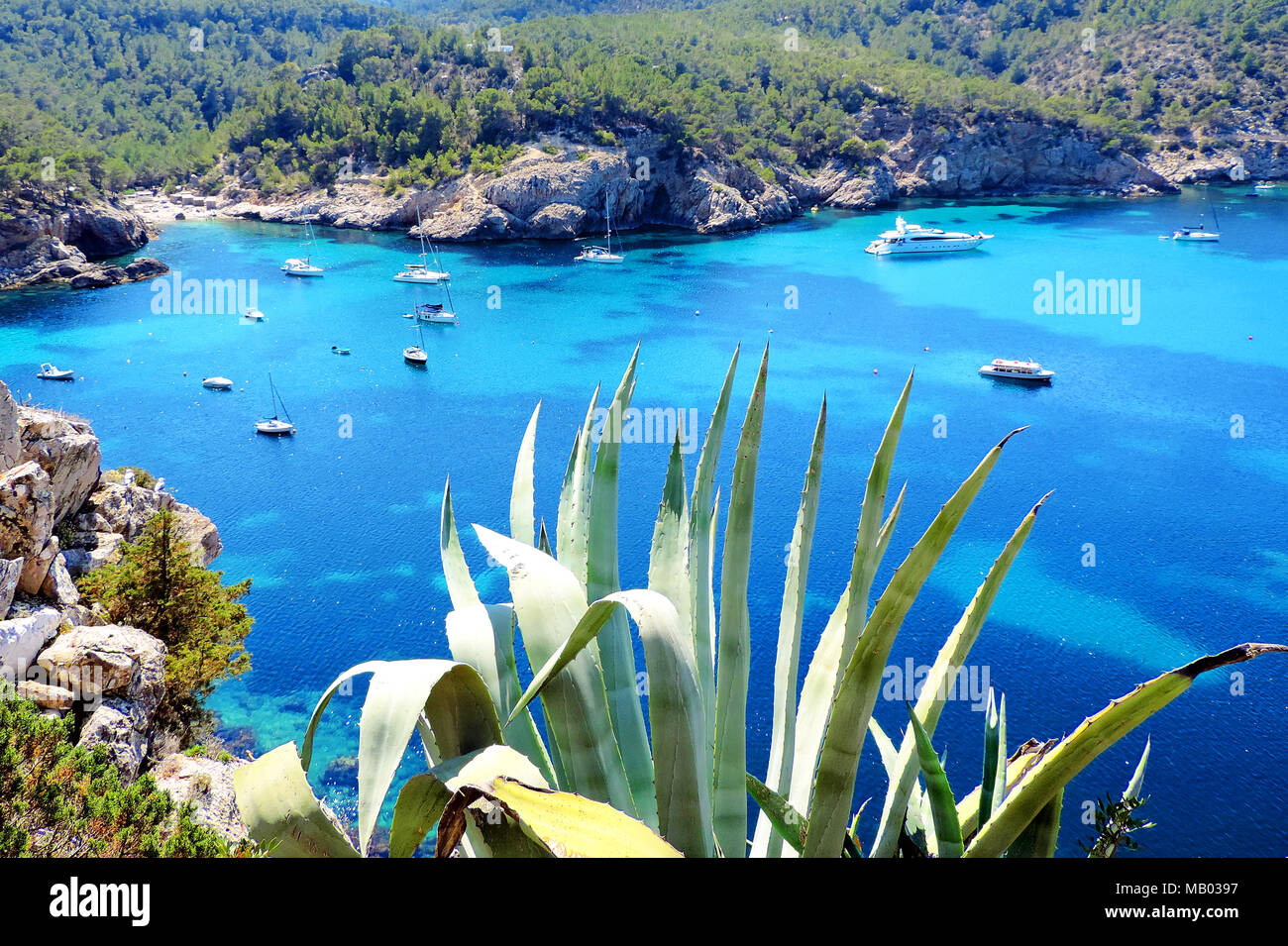 Baia di San Miquel, Isola di Ibiza. Barche ancorate e acque turchesi. Foto Stock