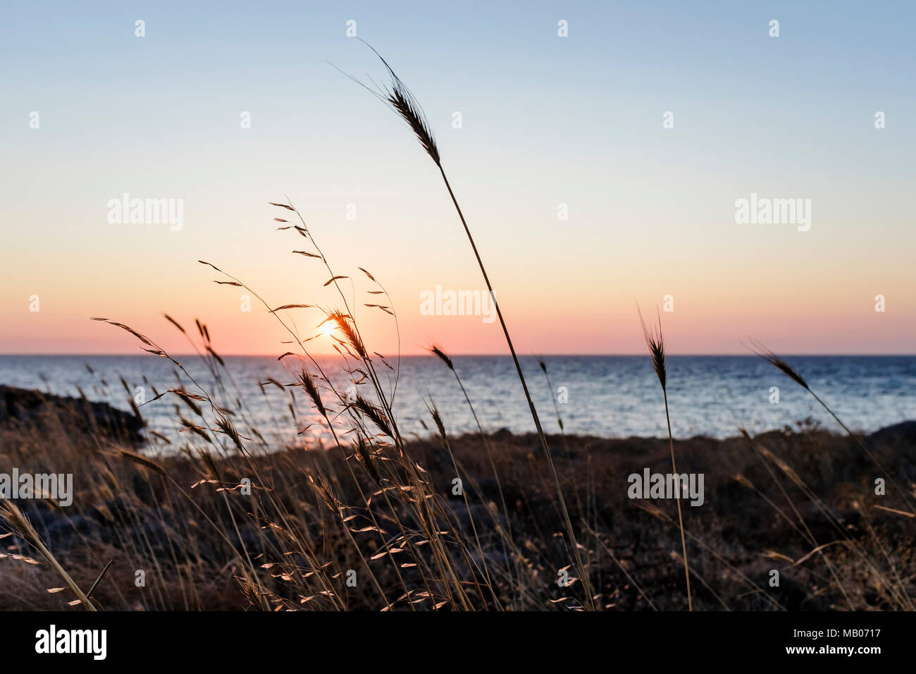 Tramonto, Nissiopi Petrified Forest Park, dei geoparchi UNESCO, Lesbo Foto Stock