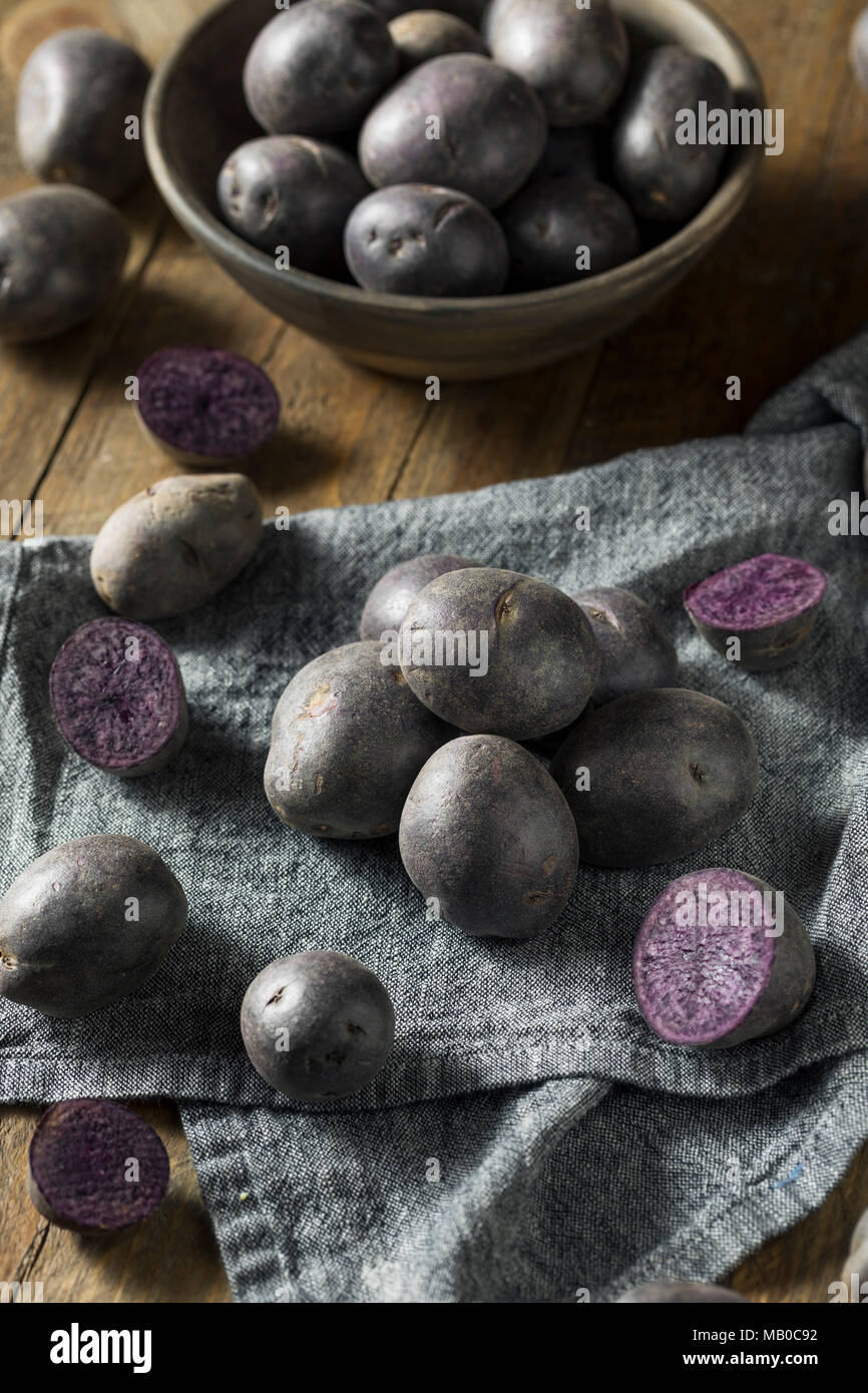 Materie organiche Baby viola patate pronto per cucinare Foto Stock