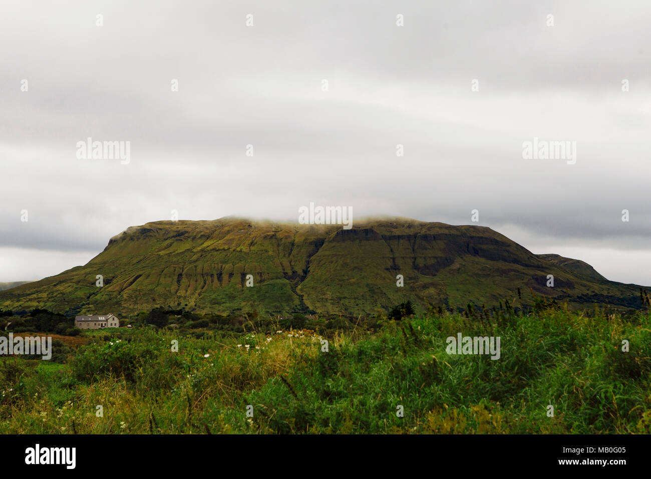 Benbulben con potrebbe coprire e pecore alla base, paesaggio Foto Stock