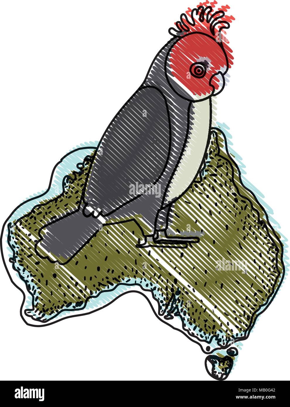 Gang cockatoo bird su mappa australiano Illustrazione Vettoriale