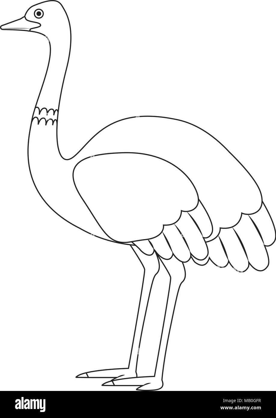 Wild struzzo uccello australiano Illustrazione Vettoriale