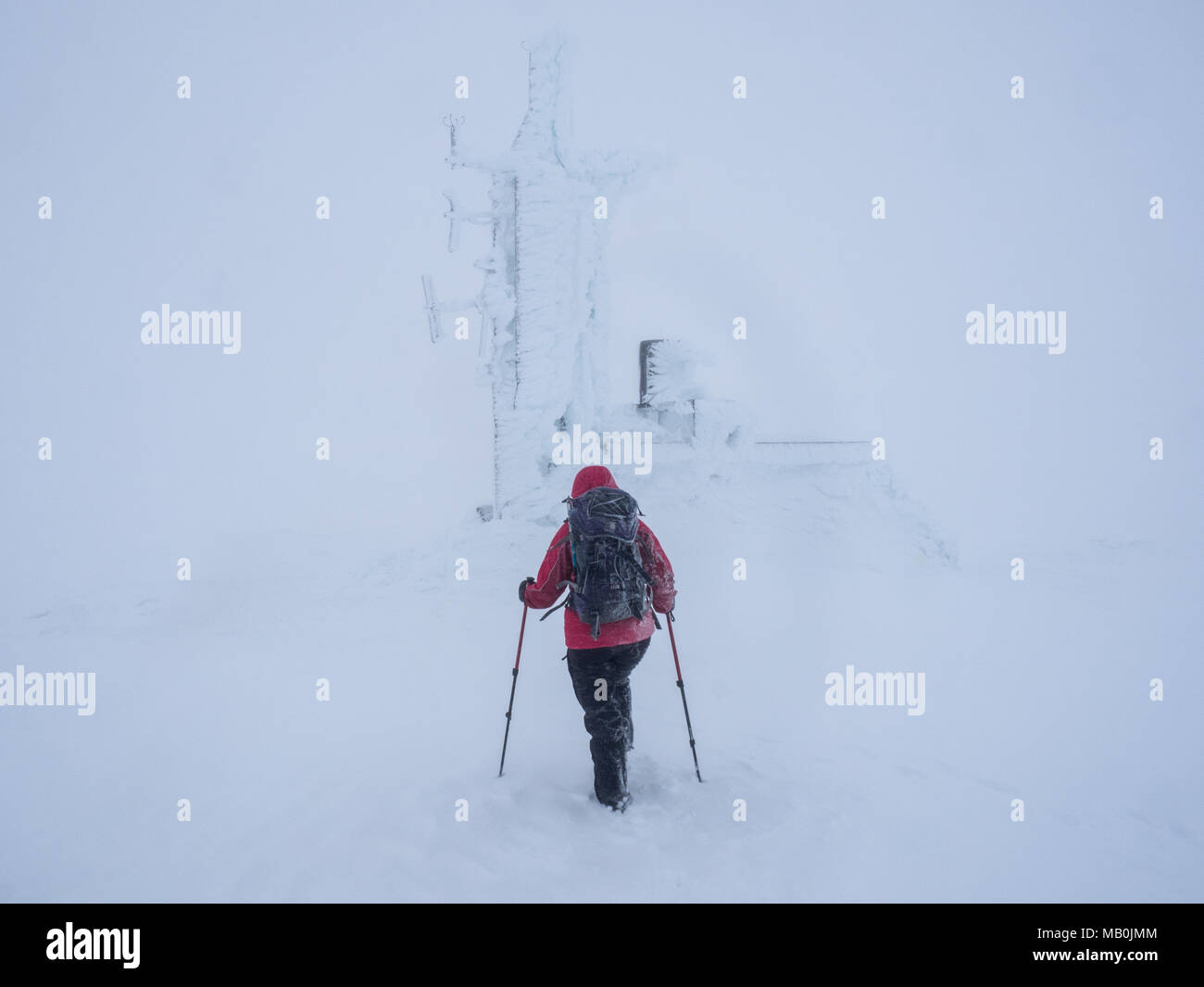 Una femmina di walker fuori Passeggiate Inverno nel Parco Nazionale di Cairngorms in whiteout condizioni che danno molto scarsa visibilità Foto Stock