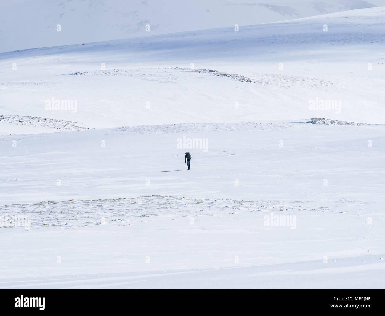 Un camminatore solitario attraversando un grande snowfield in Cairngorm National Park, Scozia vicino al Glenshee Ski Centre Foto Stock