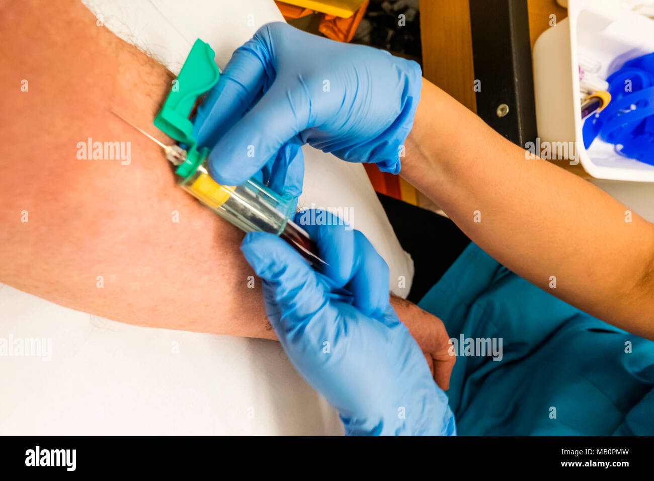 Inghilterra, Londra, sangue di prova Foto Stock