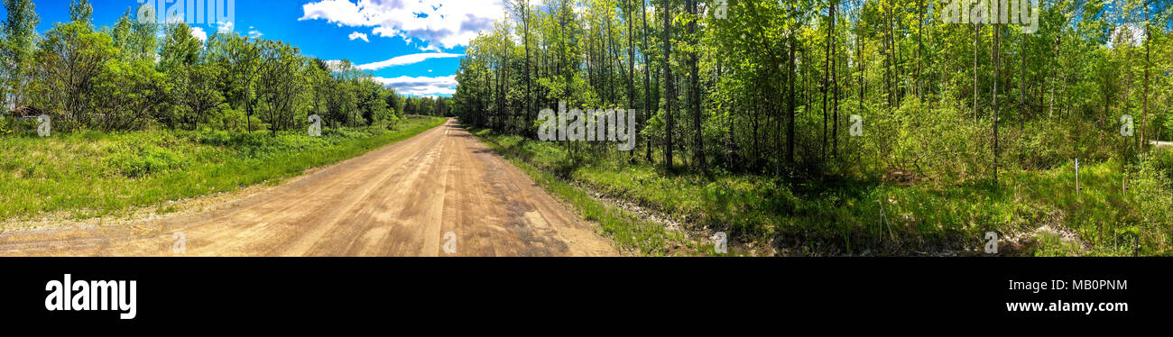 Vista panoramica del paese una strada che attraversa un bosco in estate Foto Stock