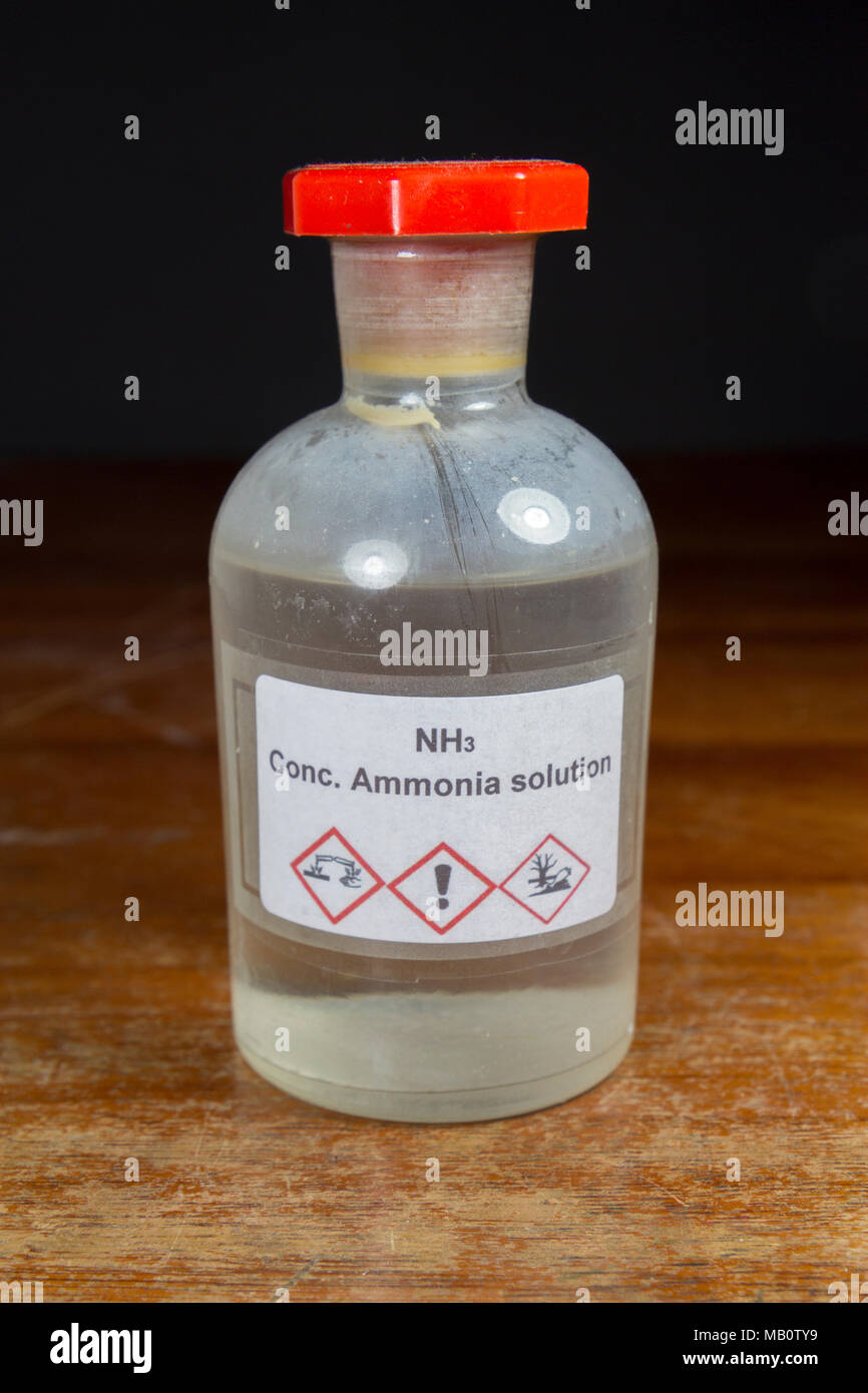 Una bottiglia di una soluzione concentrata di ammoniaca (NH3) come usato in un Regno Unito scuola secondaria, Londra, Regno Unito. Foto Stock