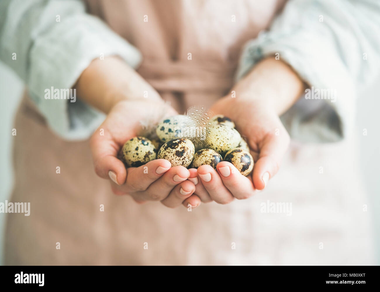 Uova di quaglia e piuma nella donna le mani, composizione orizzontale Foto Stock