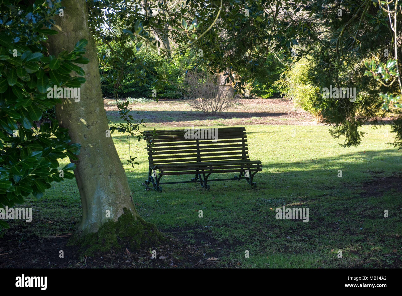 Svuotare la panchina di legno sotto gli alberi in un giardino tranquillo e soleggiato in primavera Foto Stock