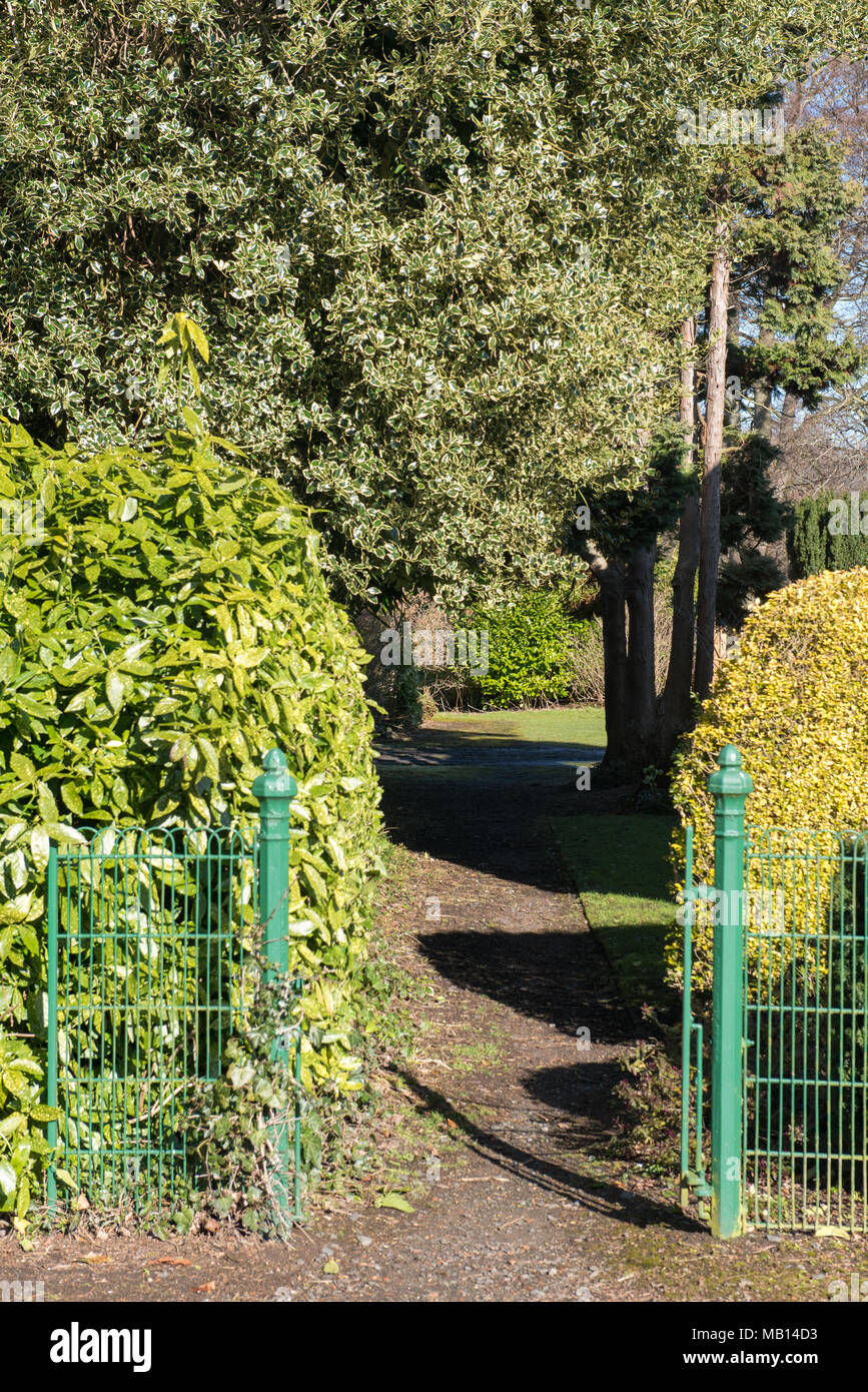 Il cancello verde si apre su un sentiero illuminato dal sole circondato da siepi e alti alberi in una chiara mattina primaverile Foto Stock