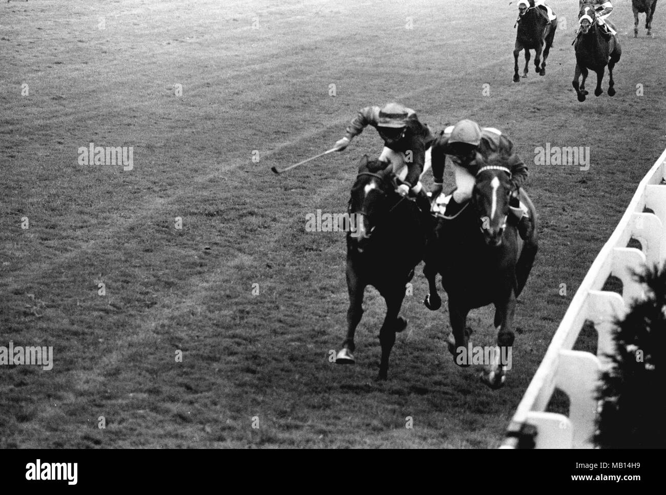 Joe Mercer su Le Moss (r) prende il Doncaster Cup a Doncaster Racecourse da Ardross, C. Roche. Vincente il margine è stato un collo. Foto Stock