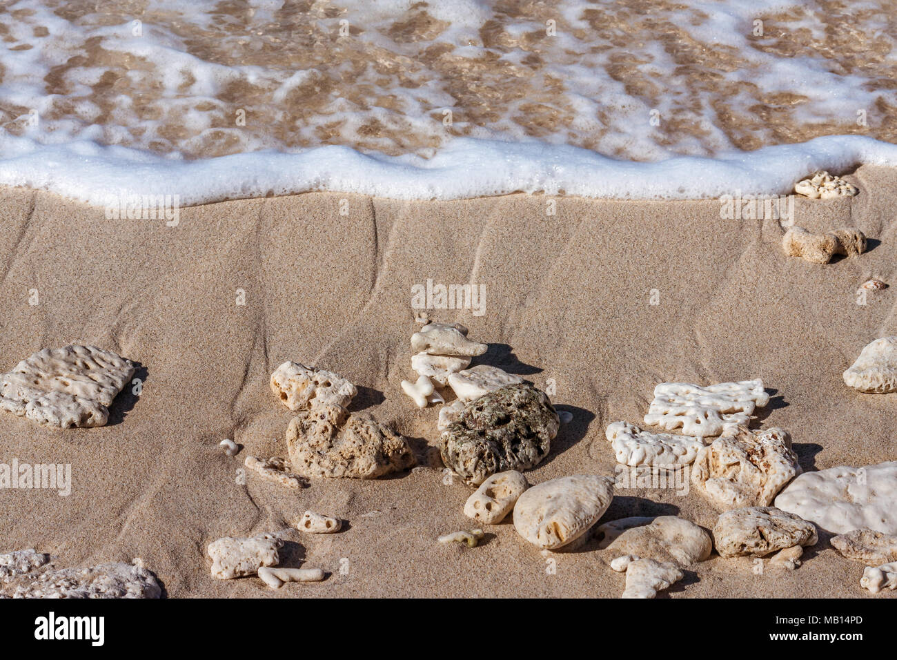 Sullo sfondo di una spiaggia di sabbia con corallo morto Foto Stock