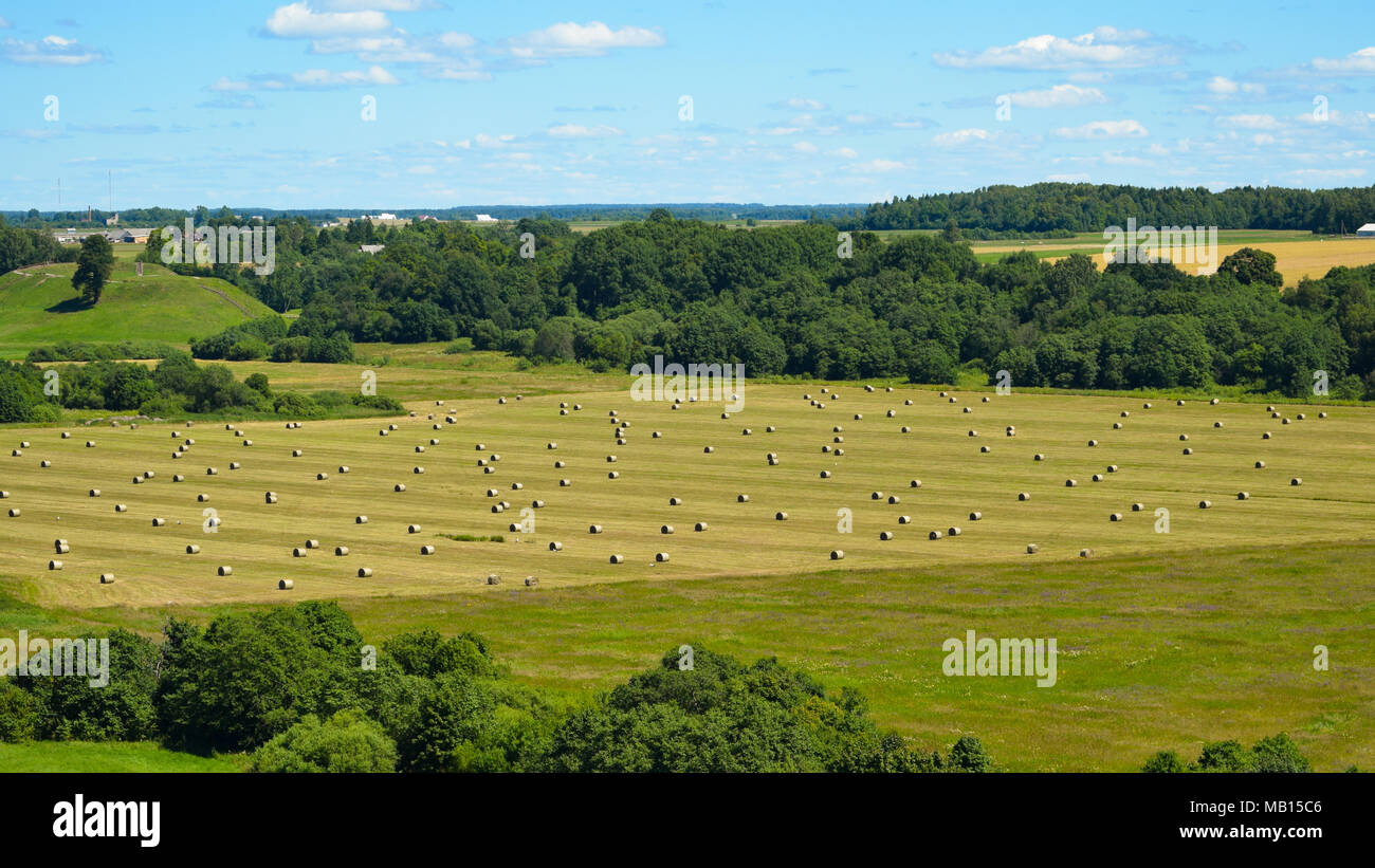 Campo con rotoli di fieno da sopra Foto Stock