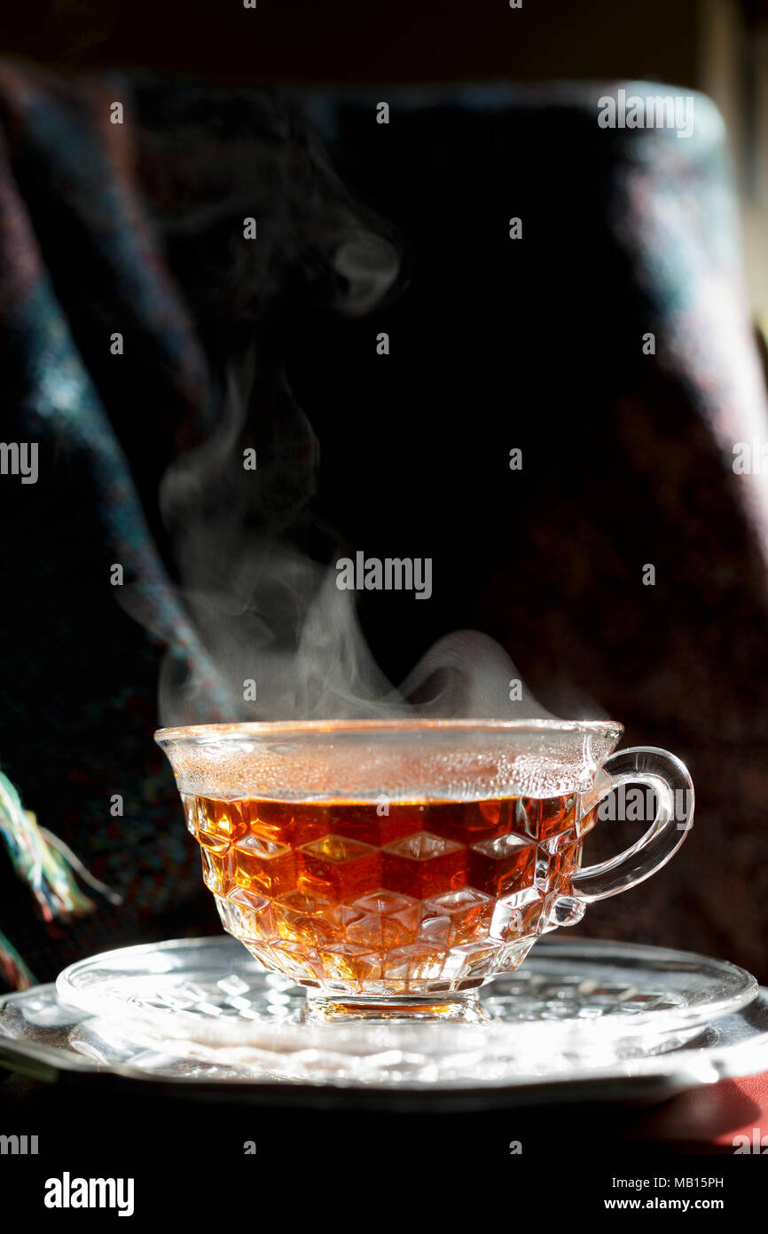 Rooibos Foto Stock