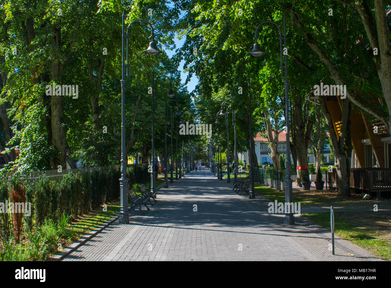 Palanga street in estate Foto Stock