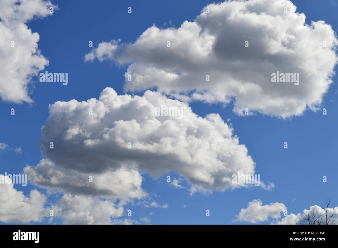 Soffici nuvole sopra un perfetto cielo blu Foto Stock