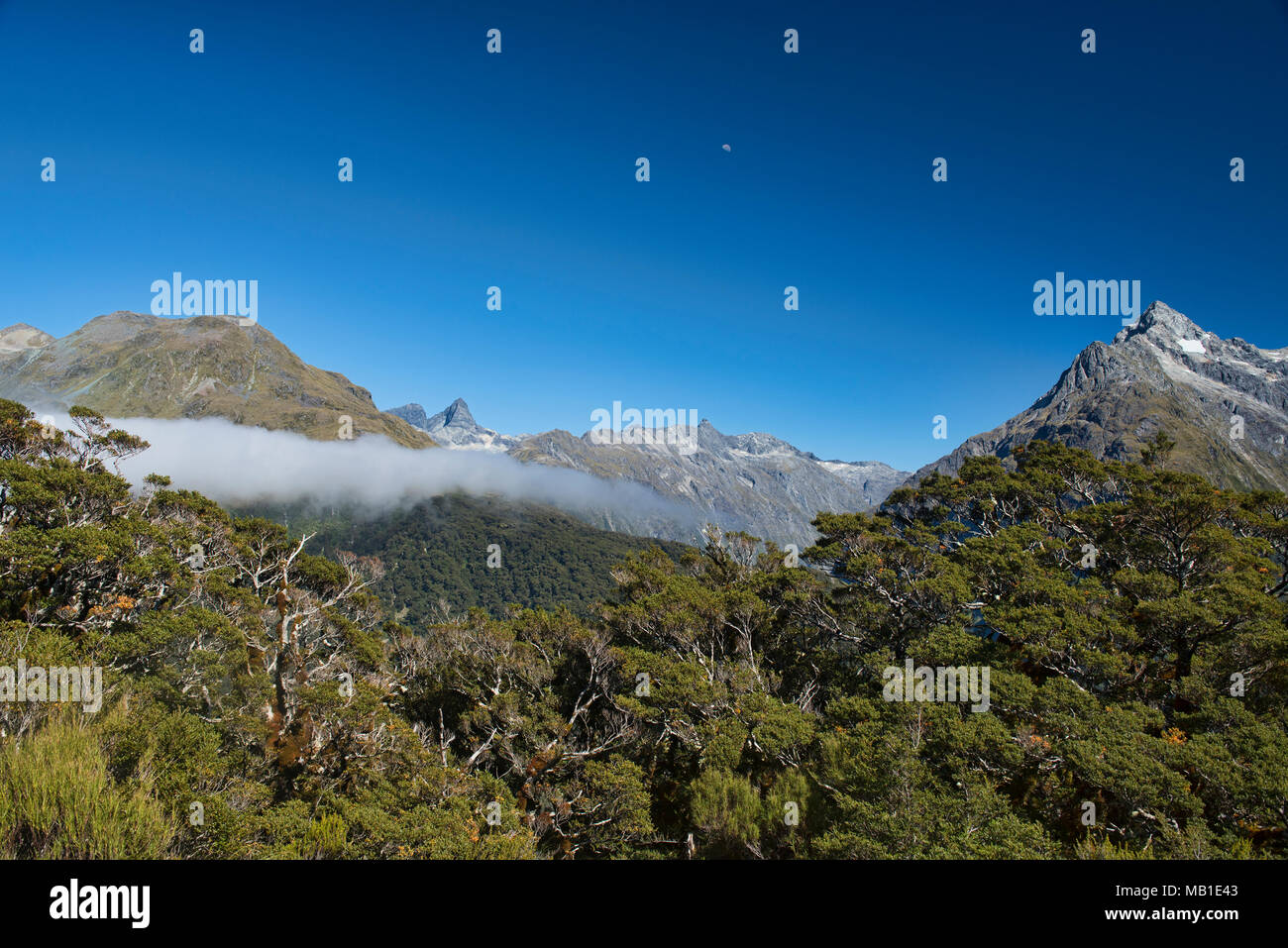 Viste dal Vertice di chiave ridge off il Routeburn Track, Fjordland, Nuova Zelanda Foto Stock