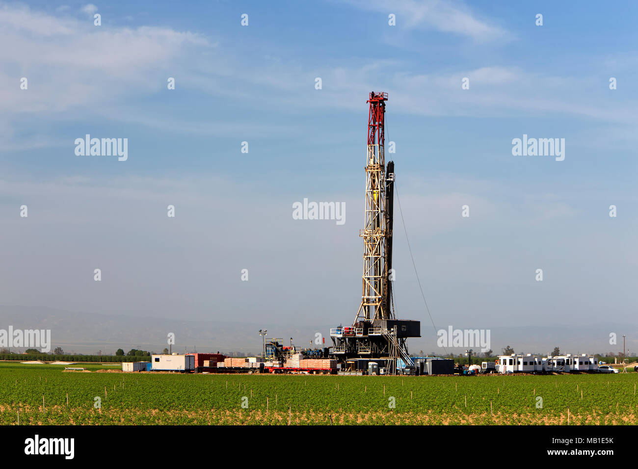 Impianto di perforazione in funzione, giovani campo di pomodoro in primo piano. Foto Stock