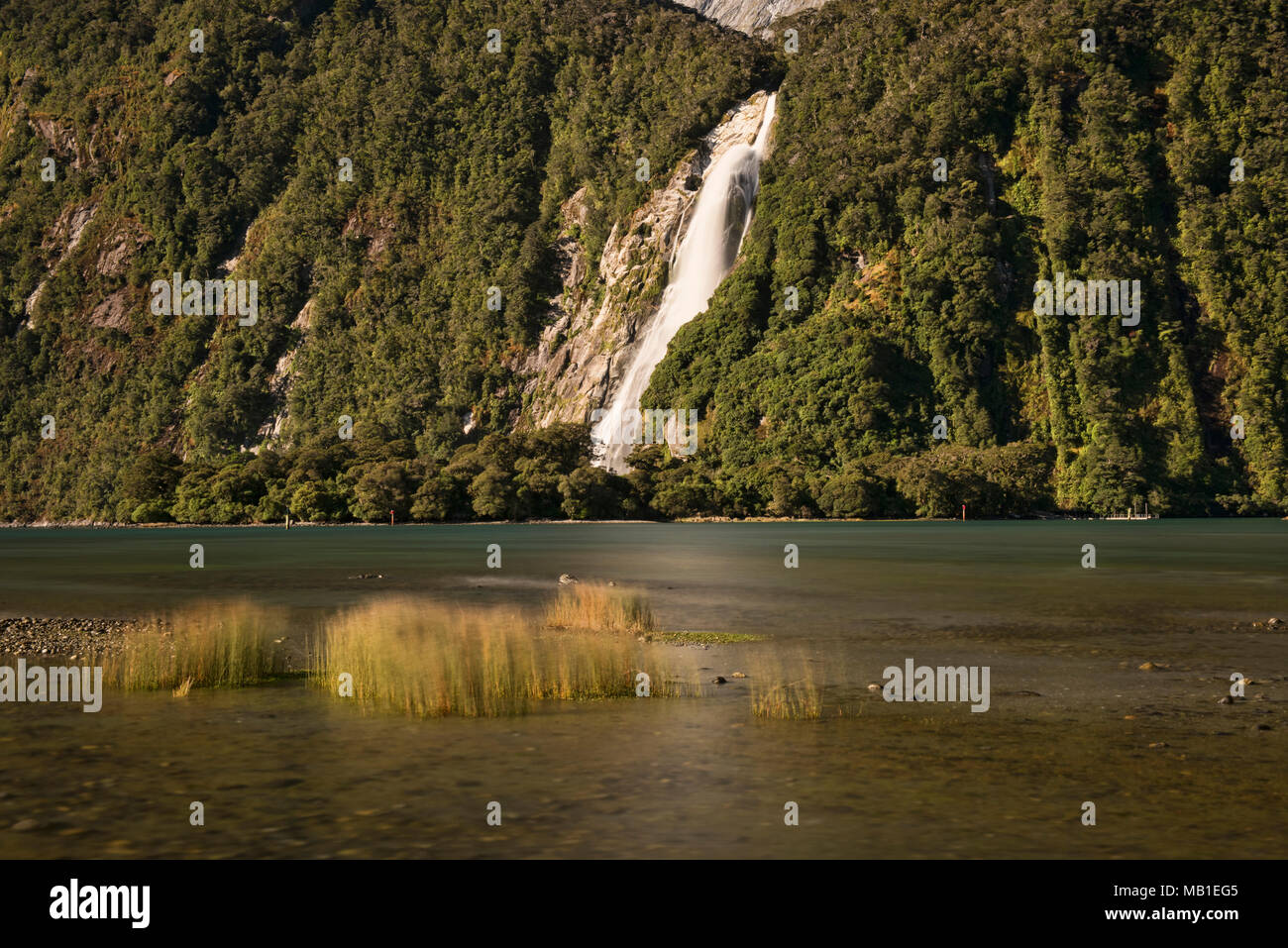 Signora Elizabeth Bowen Falls, Milford Sound, Fjordland,Nuova Zelanda Foto Stock