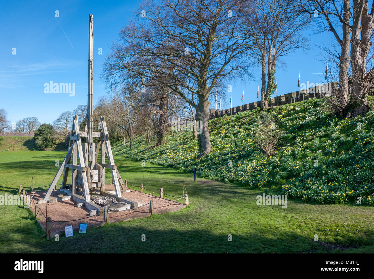 Replica trebuchet, Castello di Cardiff, Galles del Sud Foto Stock