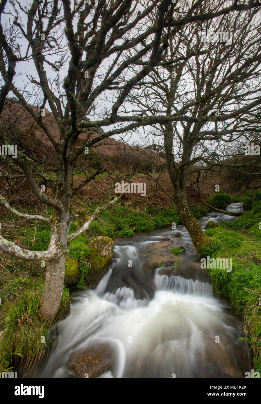 Un bellissimo ruscello o fiume tumbling attraverso la collina e sono in esecuzione in discesa in a. Cascata o cascata presso il cot valley porthnanven cove, Cornwall Foto Stock