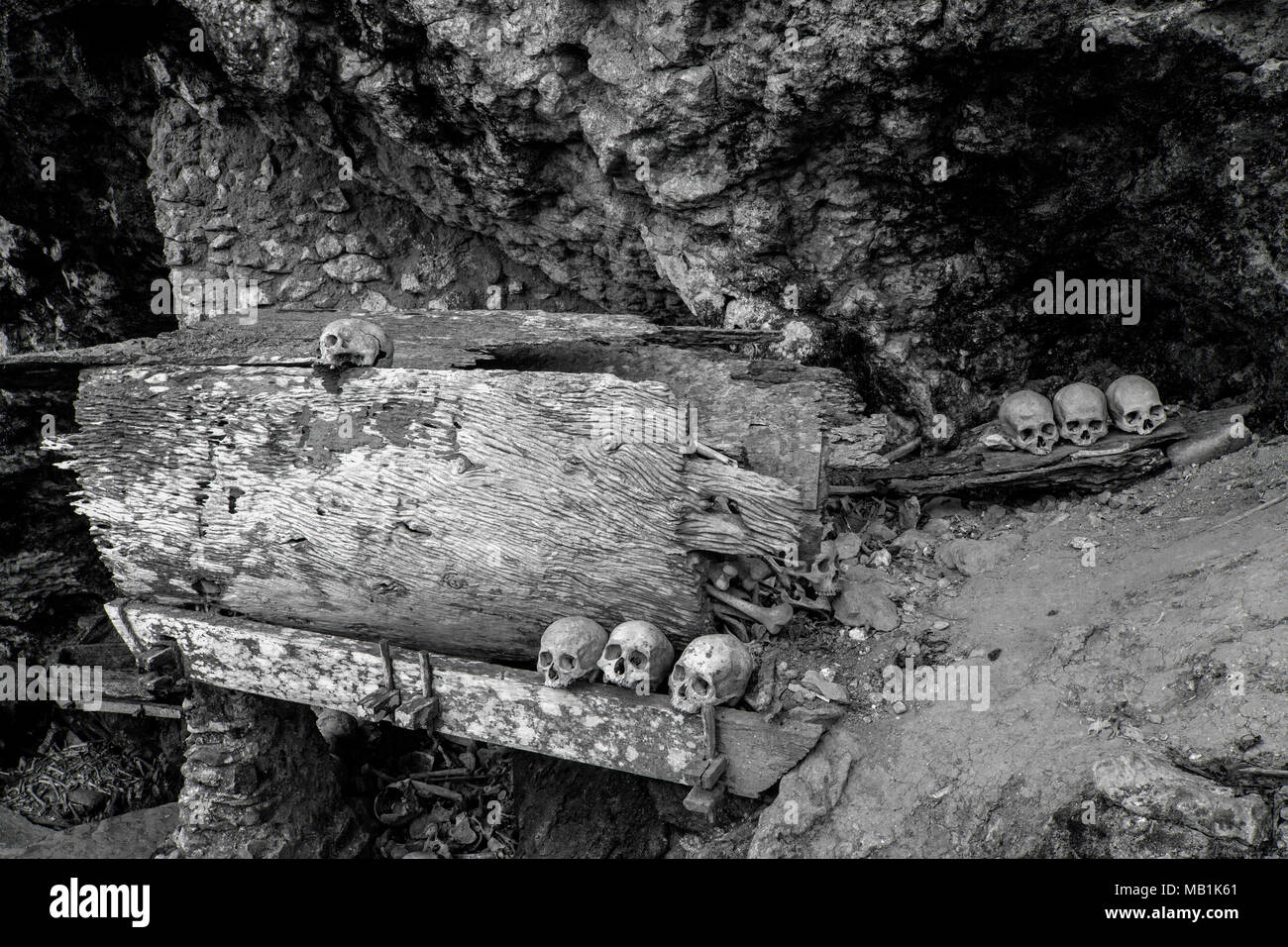 Tana Toraja - i funerali, tombe, luoghi di sepoltura in grotte. Skiff umane intorno a luoghi di sepoltura sono comuni. A Sud di Sulawesi, Indonesia. Foto Stock