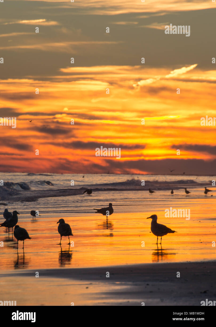 Tramonto con il fuoco nel cielo - Isola di Smeraldo Beach North Carolina. Vedere la bellezza del cielo come le nuvole si raccolgono nel dipinto di rosso, arancione, rosa, incandescente Foto Stock