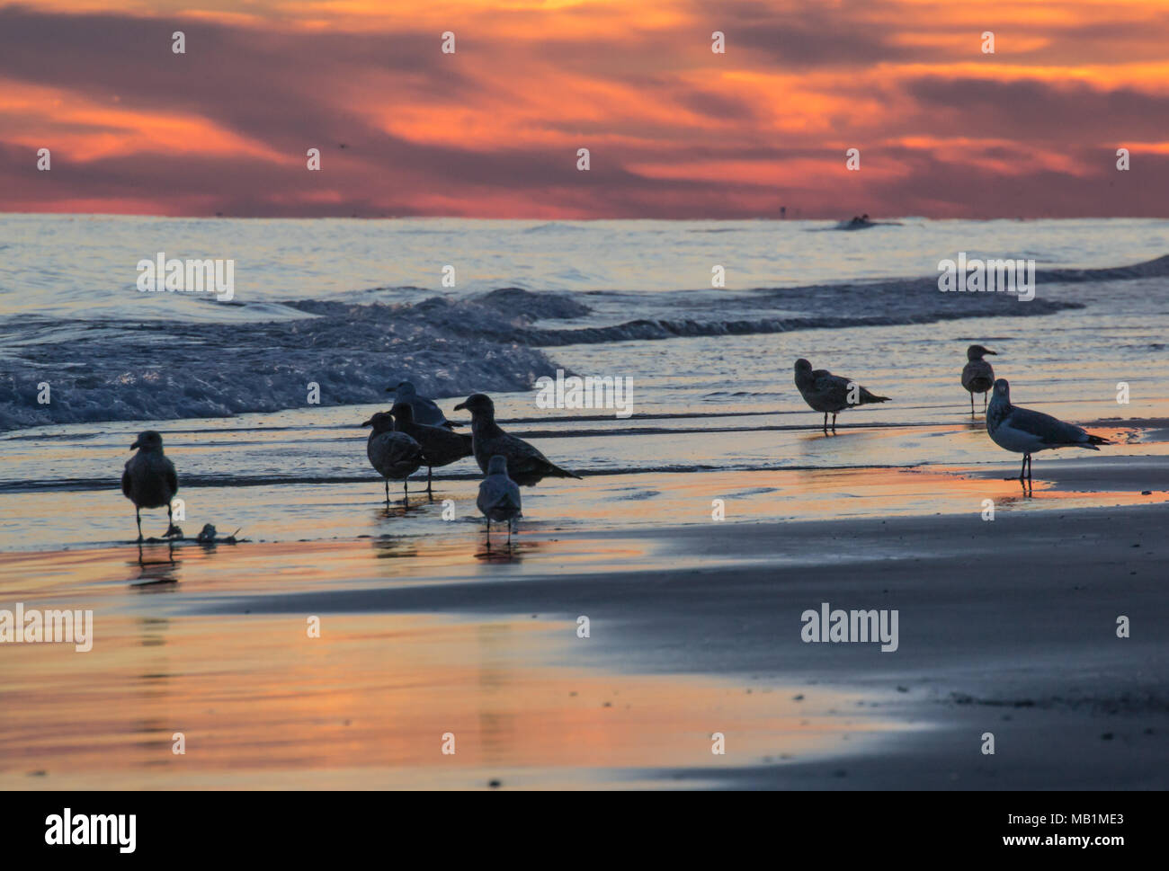 Tramonto con il fuoco nel cielo - Isola di Smeraldo Beach North Carolina. Vedere la bellezza del cielo come le nuvole si raccolgono nel dipinto di rosso, arancione, rosa, incandescente Foto Stock