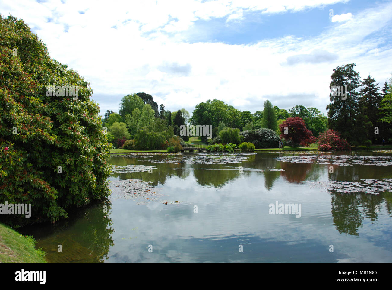Accanto a un lago pittoresco a Sheffield Parco e Giardino Foto Stock