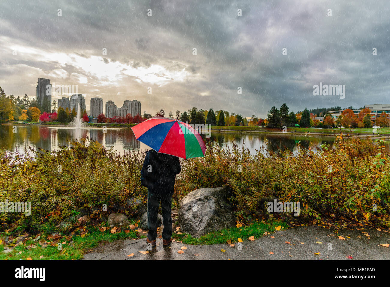 Un uomo con un ombrello sorge sotto la pioggia in un parco con un lago e una fontana, alberi ed edifici ad alta sullo sfondo grigio di un cielo nuvoloso wit Foto Stock