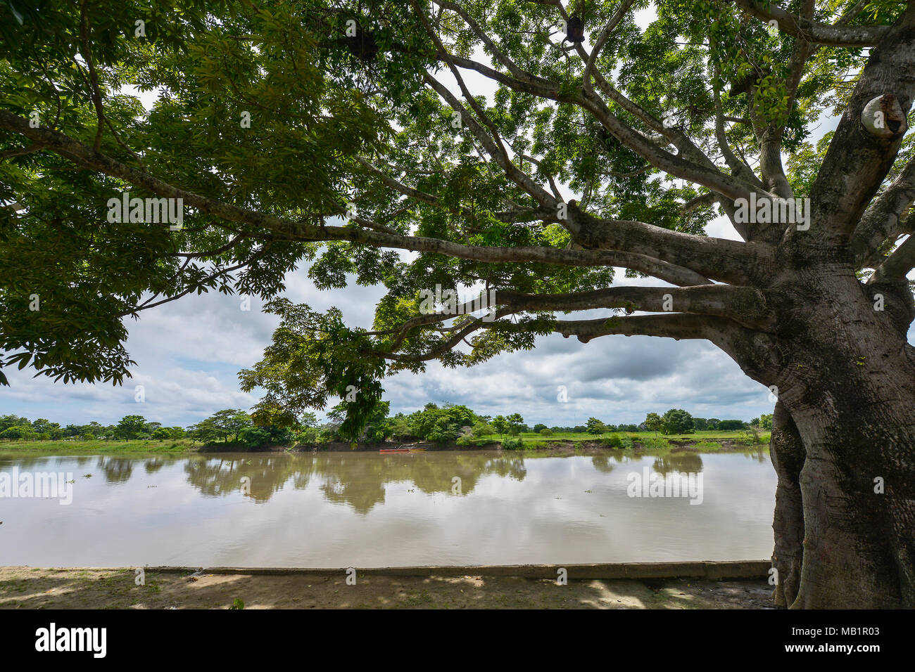 Vista del fiume Magdalena incorniciato da alberi in Mompox, Colombia. Foto Stock