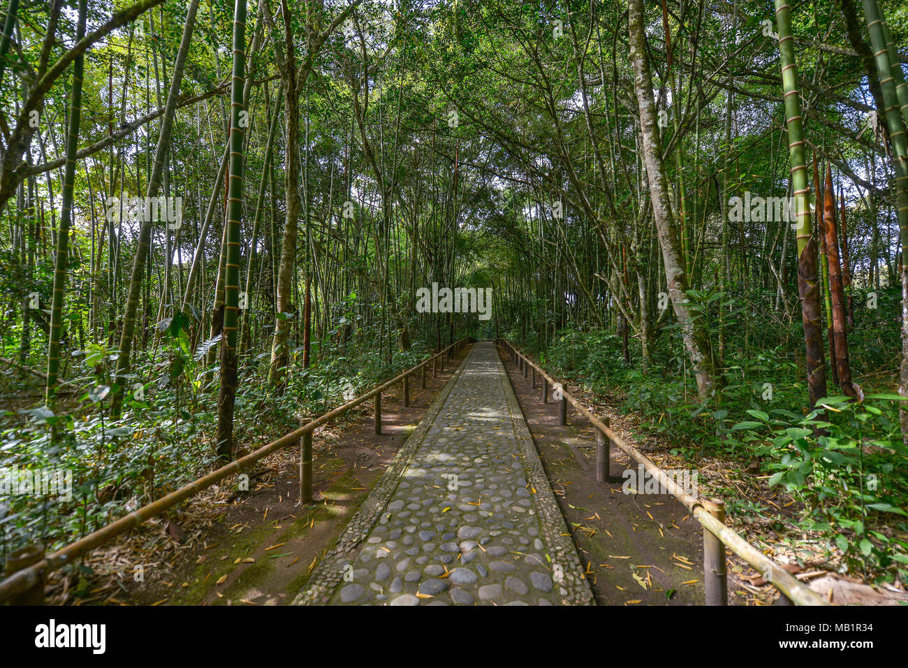 Antica pre-colombiano statue di San Agustin, la Colombia. Parco Archeologico, a 1800 metri di altitudine presso la sorgente del fiume Magdalena. Foto Stock