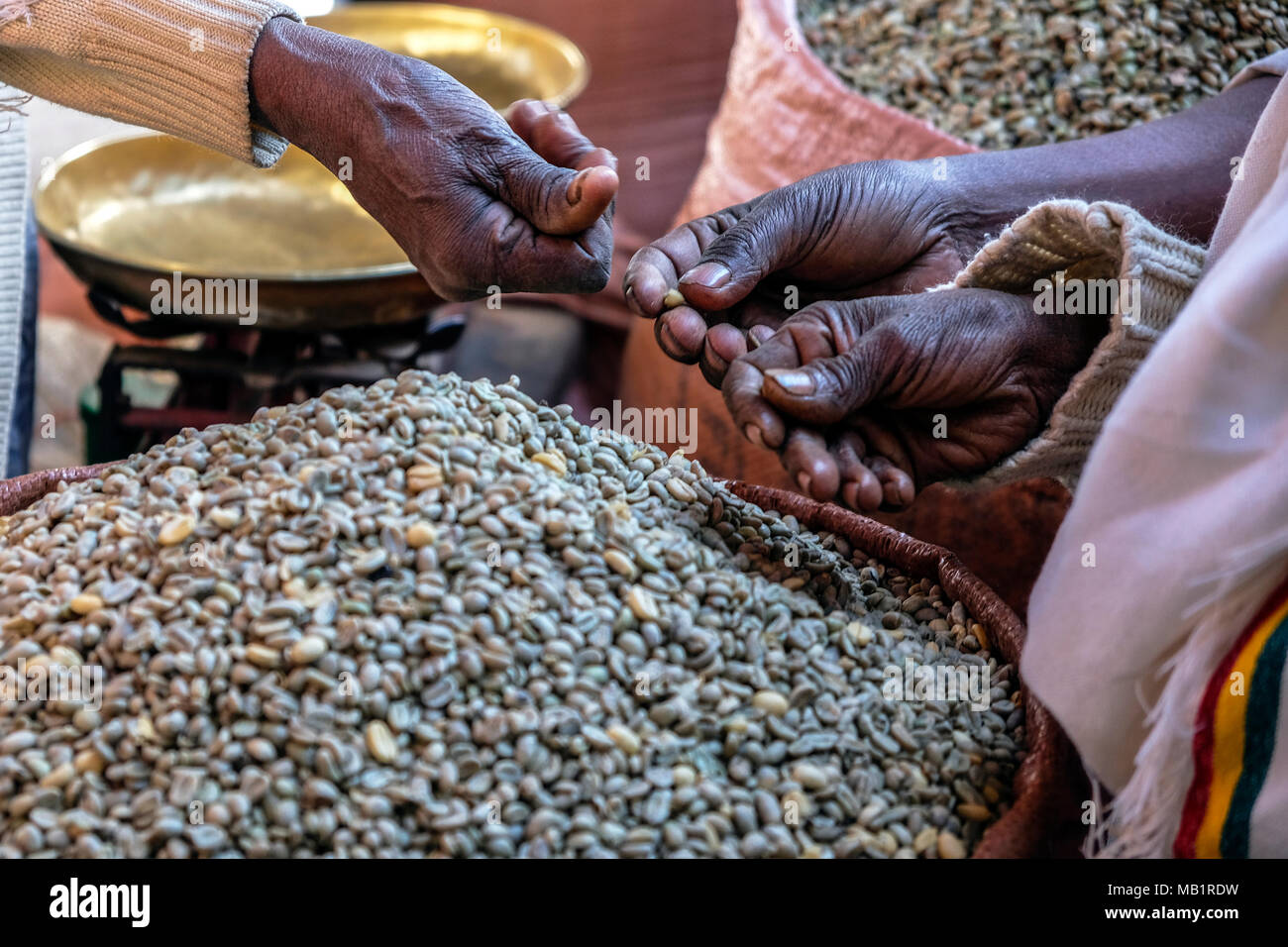 I chicchi di caffè, Etiopia Foto Stock