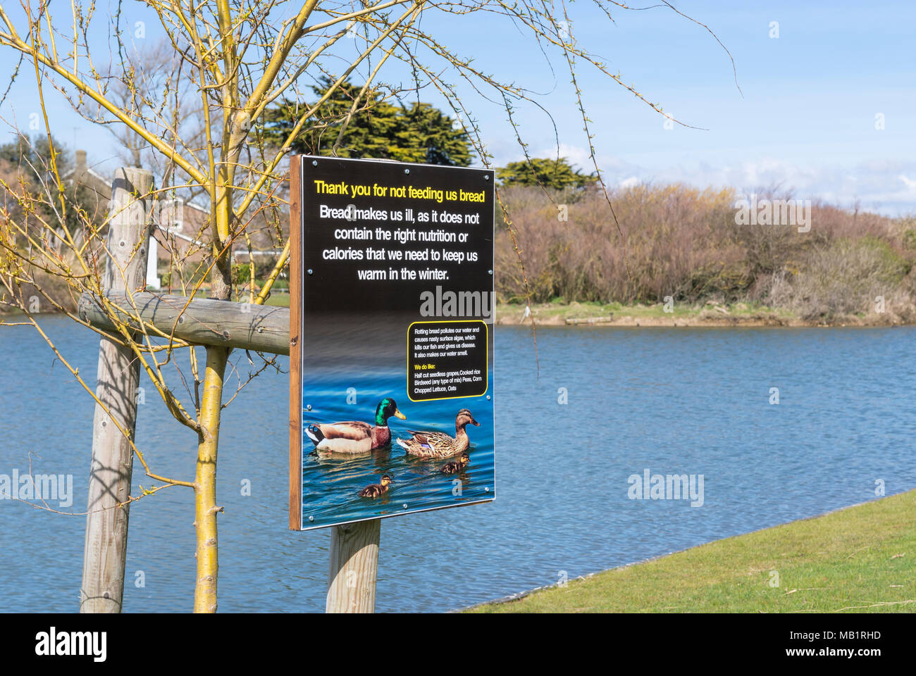 Segno di un lago a chiedere alla gente di non alimentare il pane alle anatre, come li rende ill. A Mewsbrook Park, Littlehampton, West Sussex, in Inghilterra, Regno Unito. Foto Stock