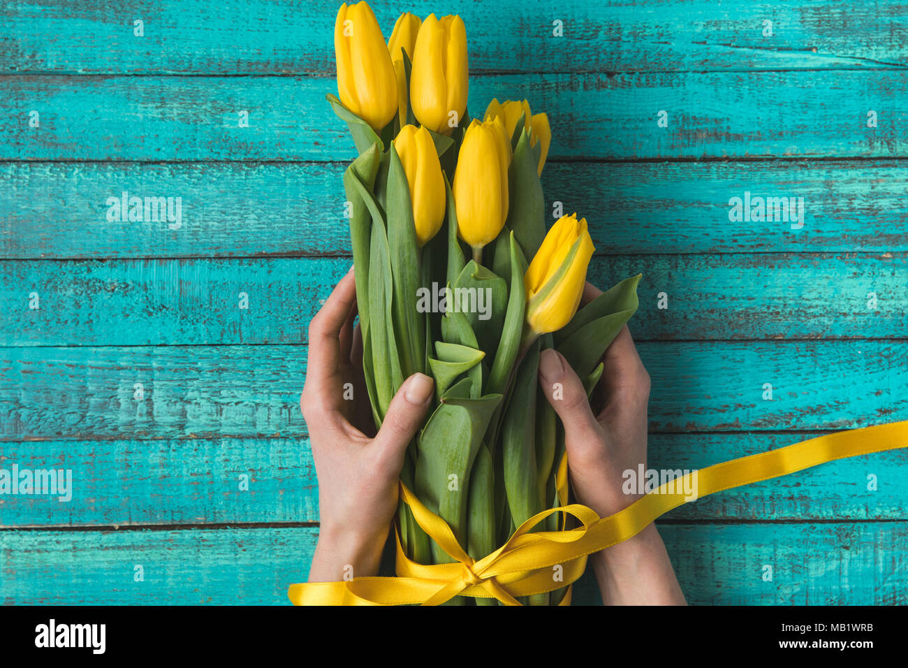 Ritagliato colpo di persona in possesso di bellissimi tulipani gialli con nastro Foto Stock